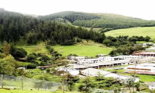 Granja Porcón