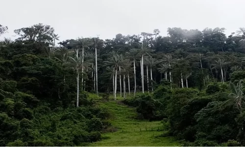 Parque Nacional Cutervo